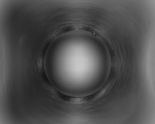 X0000088610139200705251228