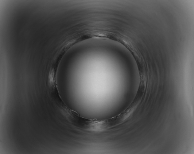 X0000088610143200705251228