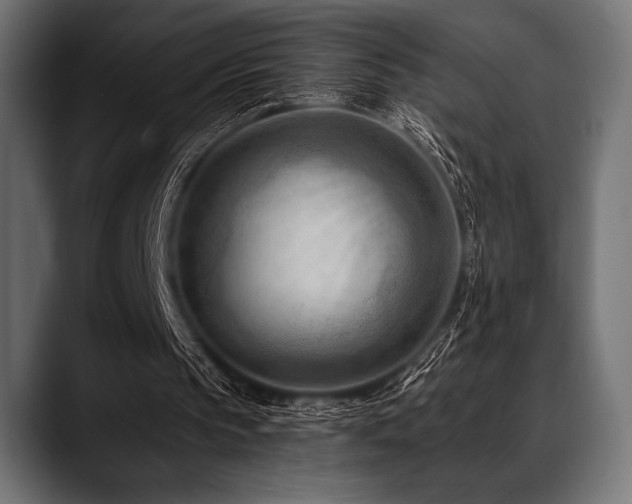 X0000088610145200705251228