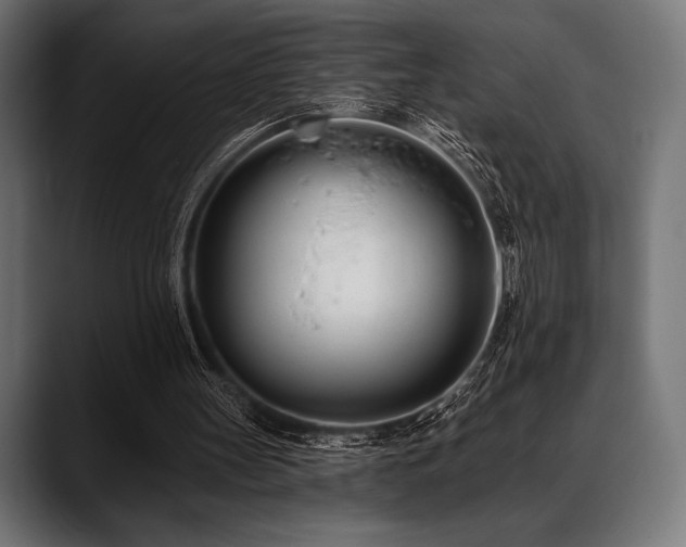 X0000088610147200705251228