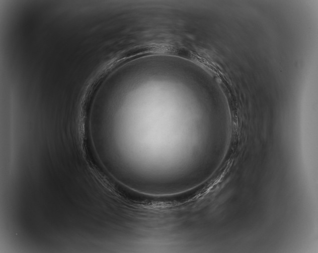 X0000088610149200705251228