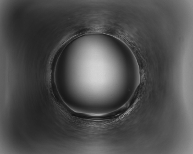 X0000088610150200705251228