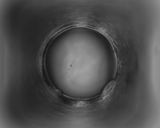 X0000088610151200705251228