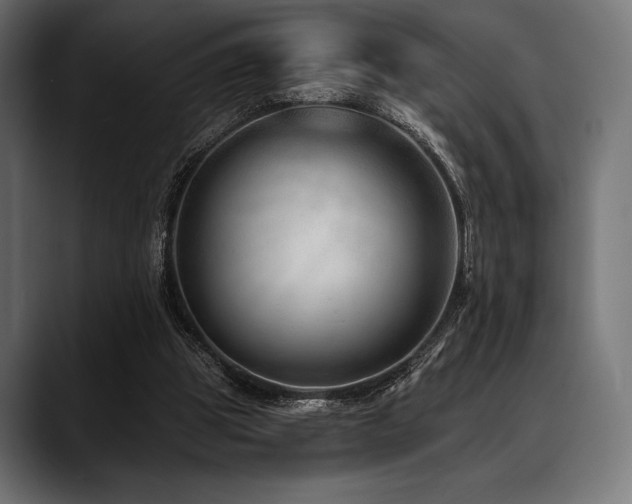 X0000088610153200705251228