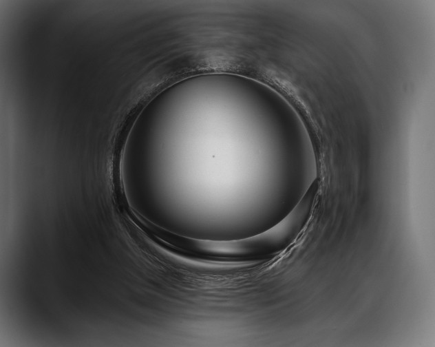 X0000088610154200705251228