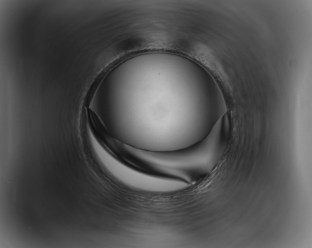 X0000088610156200705251228