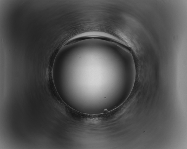 X0000088610161200705251228