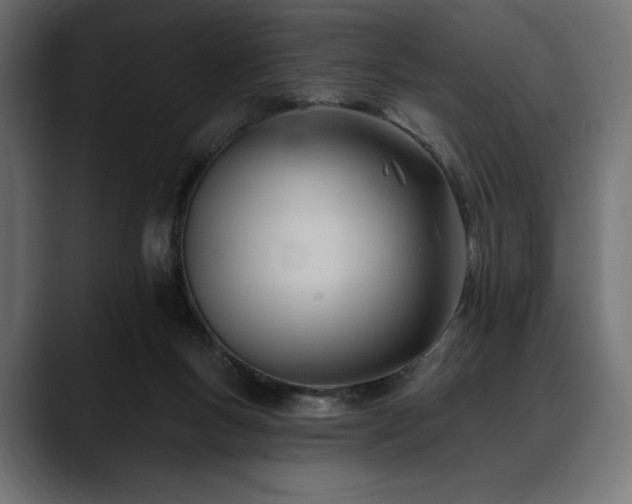 X0000088610167200705251228