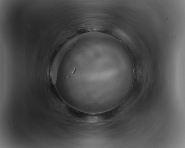 X0000088610169200705251228