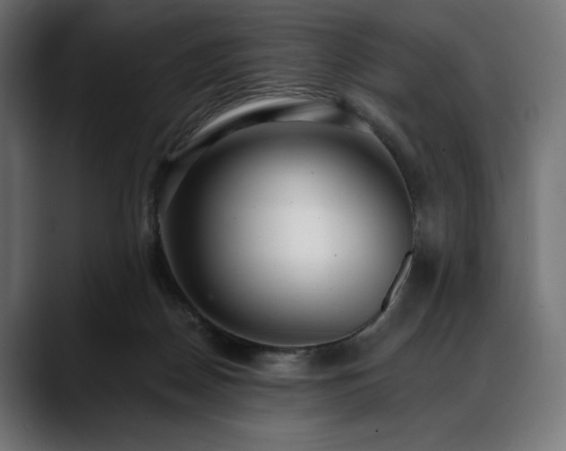 X0000088610170200705251228