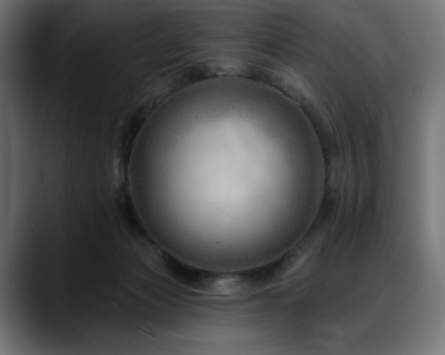 X0000088610173200705251228