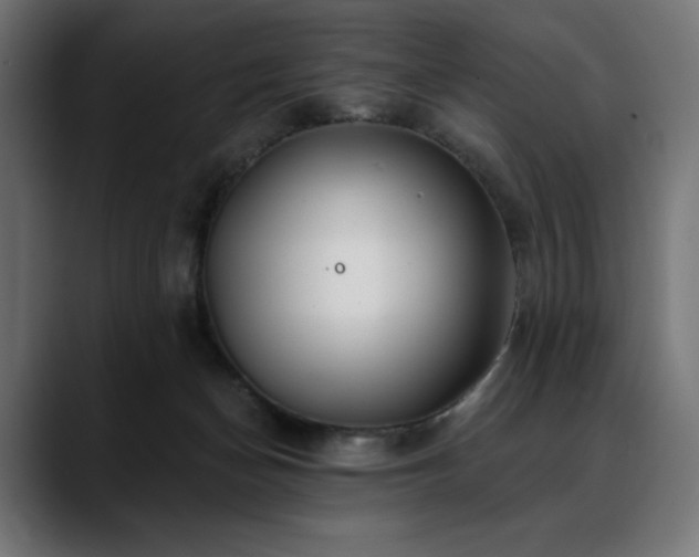 X0000088610174200705251228