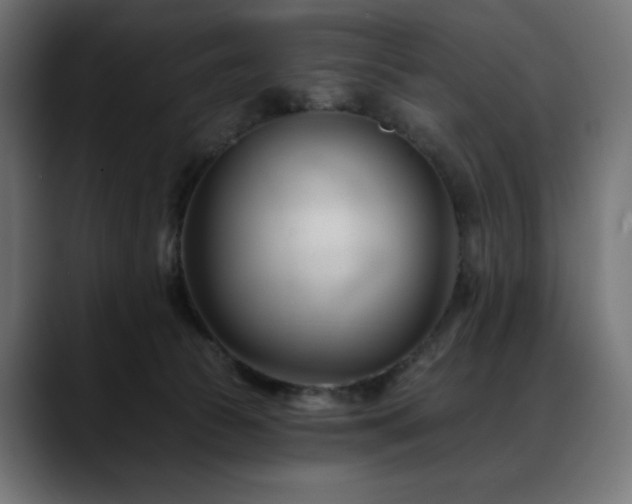 X0000088610177200705251228