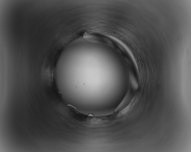 X0000088610180200705251228