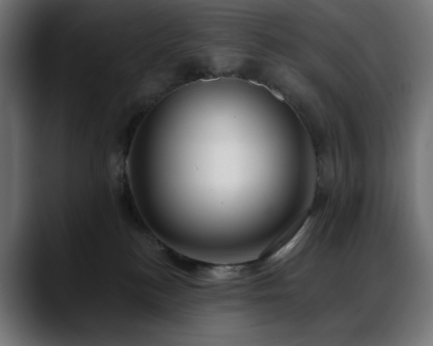 X0000088610184200705251228