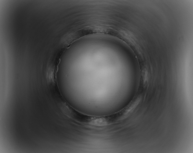 X0000088610185200705251228