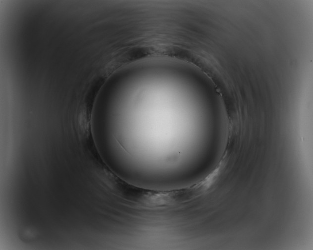 X0000088610186200705251228