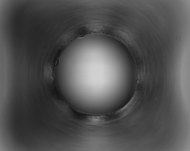 X0000088610187200705251228