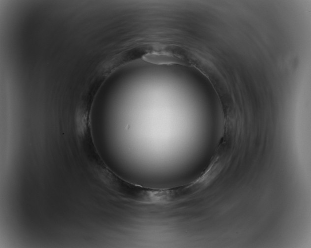 X0000088610188200705251228