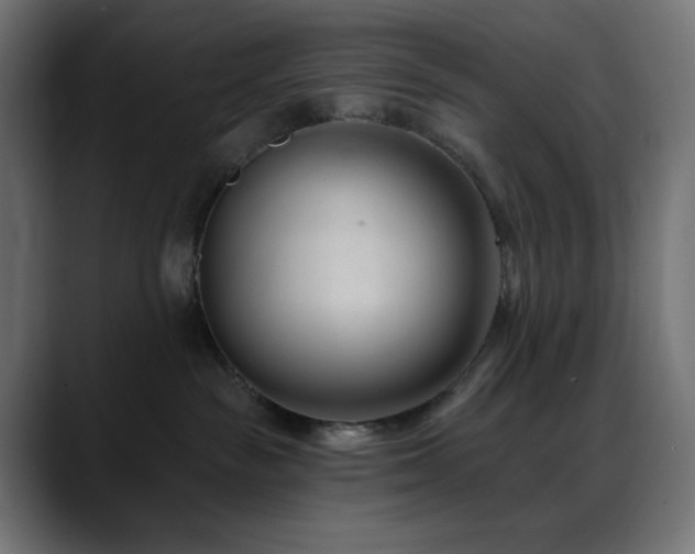 X0000088610189200705251228