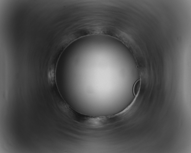 X0000088610190200705251228