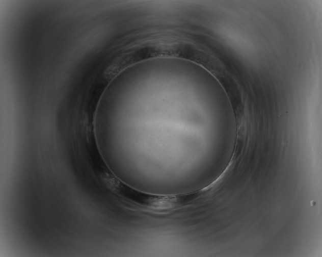 X0000088610191200705251228