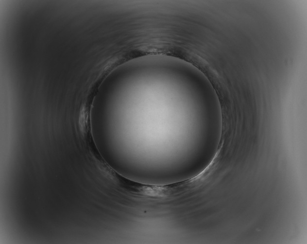 X0000088610192200705251228