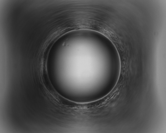 X0000088610194200705251228