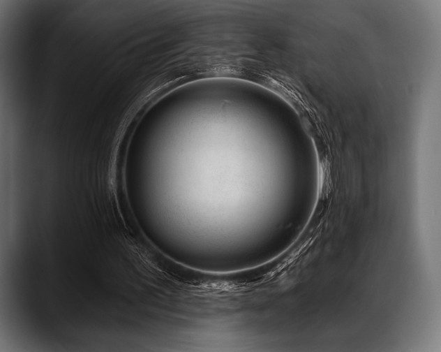 X0000088610195200705251228