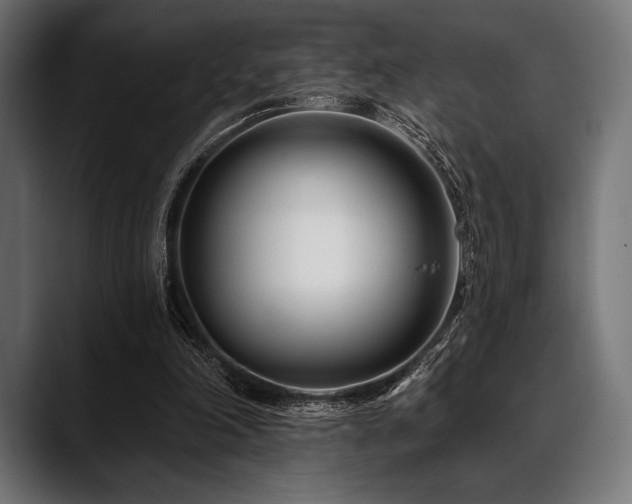 X0000088610198200705251228