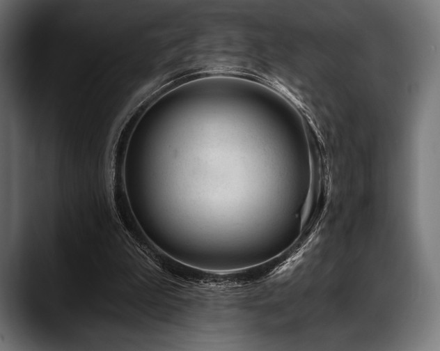 X0000088610199200705251228