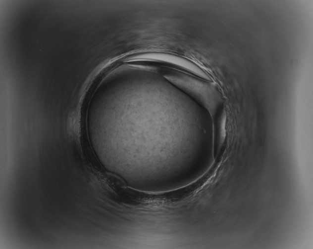 X0000088610200200705251228