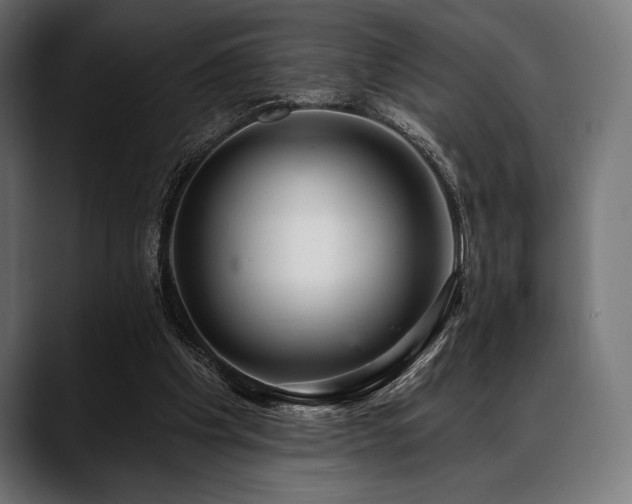 X0000088610201200705251228