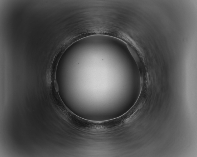 X0000088610203200705251228