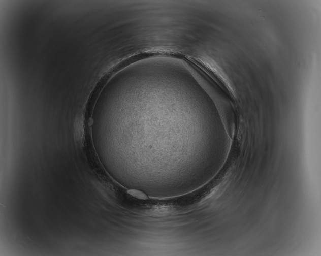 X0000088610204200705251227