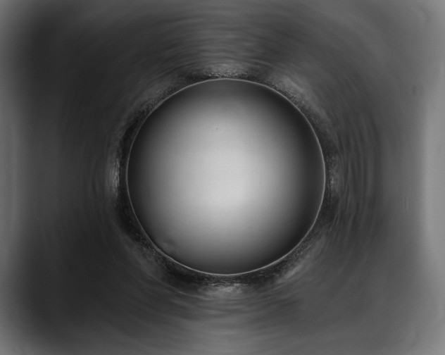 X0000088610206200705251227