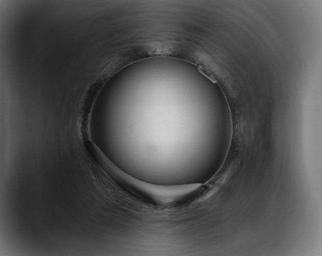 X0000088610209200705251227