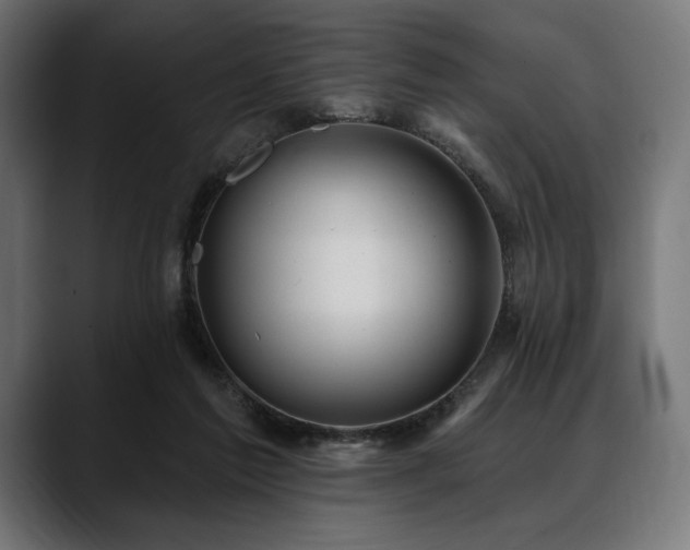 X0000088610213200705251227