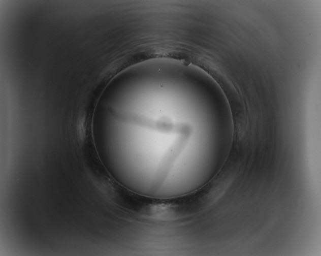 X0000088610216200705251227