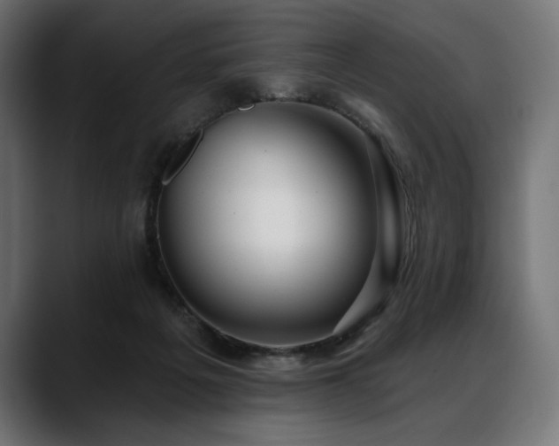 X0000088610217200705251227