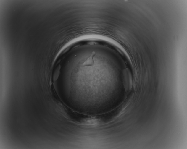 X0000088610219200705251227