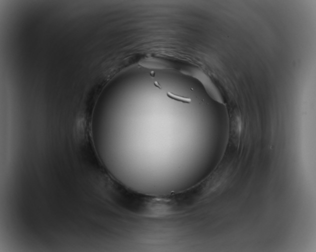 X0000088610222200705251227