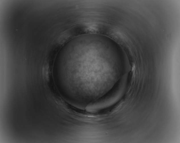 X0000088610223200705251227