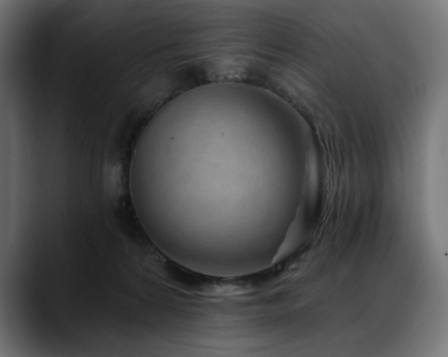 X0000088610224200705251227