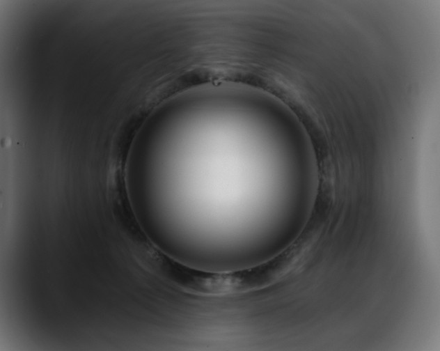 X0000088610225200705251227