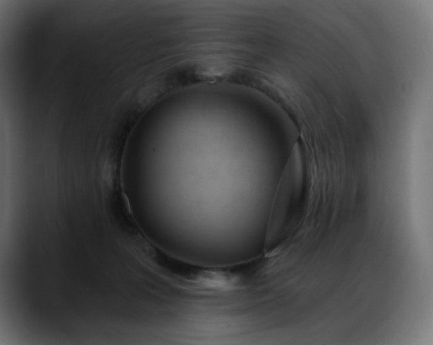 X0000088610227200705251227