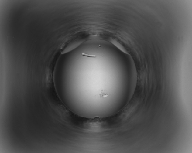 X0000088610228200705251227