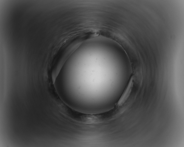 X0000088610229200705251227