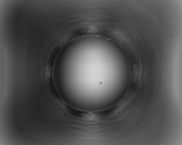 X0000088610230200705251227