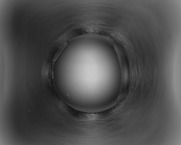 X0000088610233200705251227